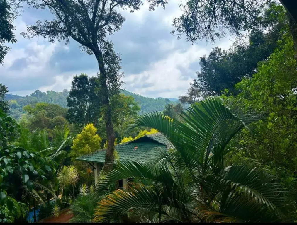 Young Island - Coorg