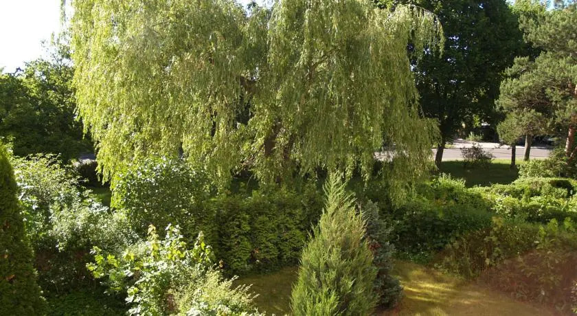 Lato w Gdańsku