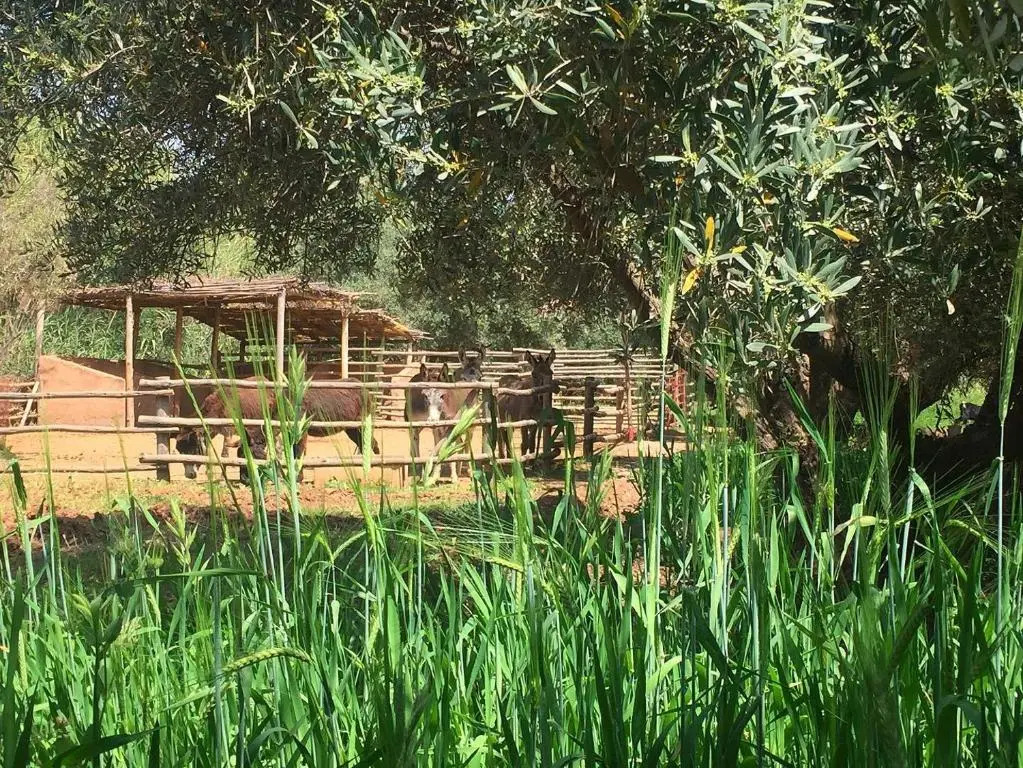 La Ferme Berbere
