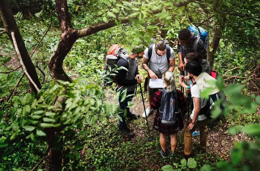 Patong Green Mountain
