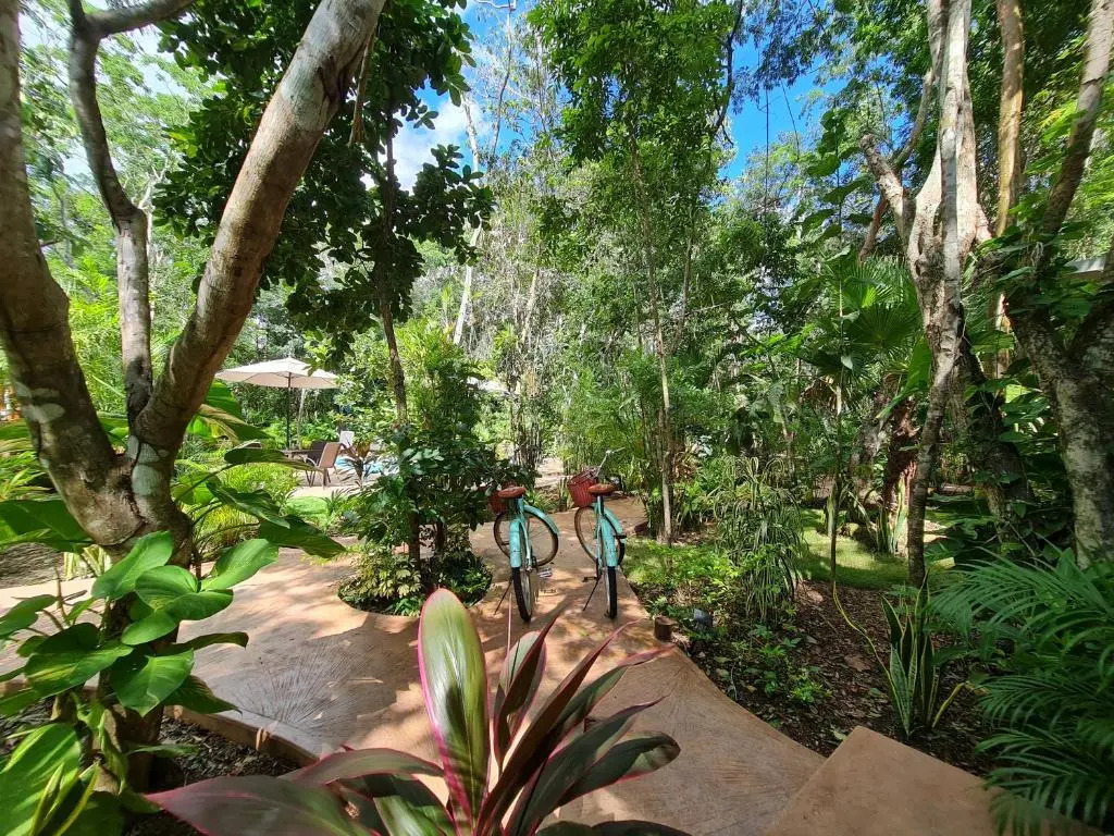 Secret Gardens Bacalar Suite 02 con alberca y bicicletas