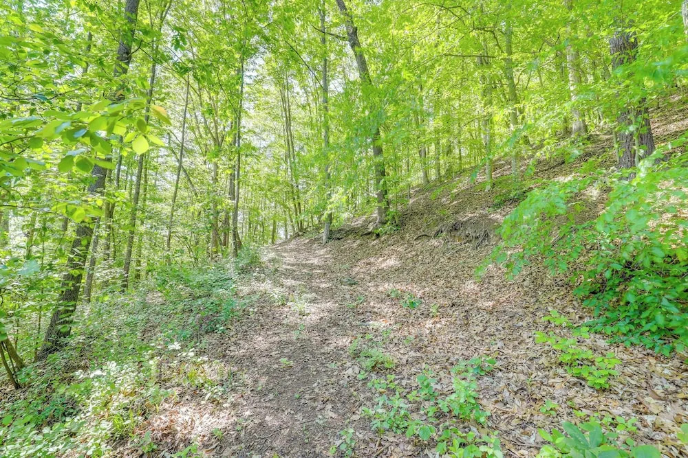 Mtn Views & Epic Sunsets: Private Weaverville Home