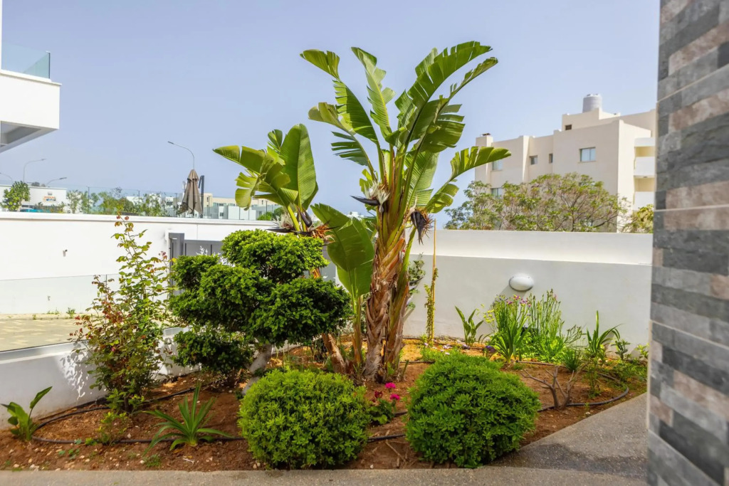 Fig Tree Bay Residences 5
