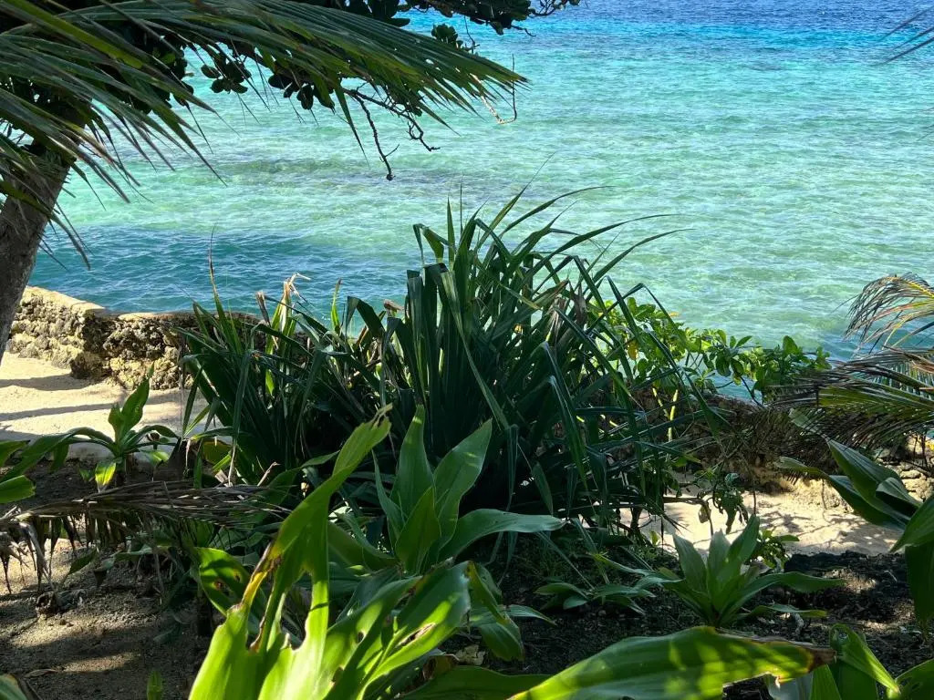 Island View Cottages