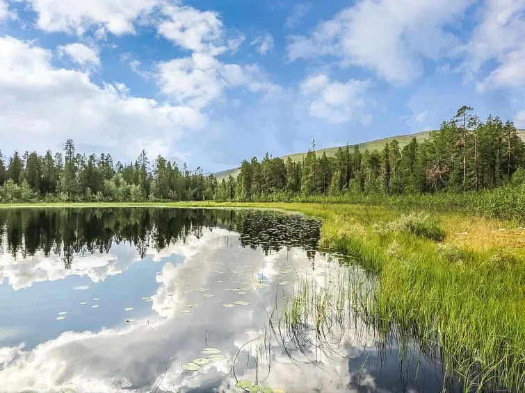 Holiday Home Ruska