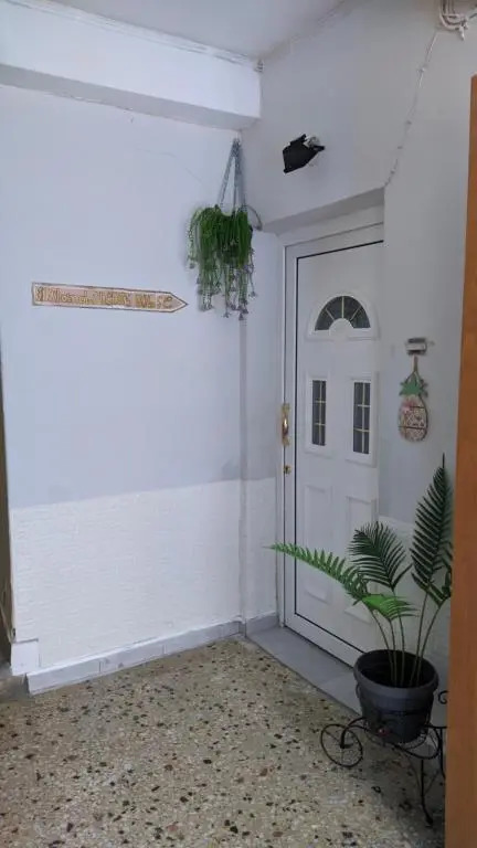 Nikol & Stella's House