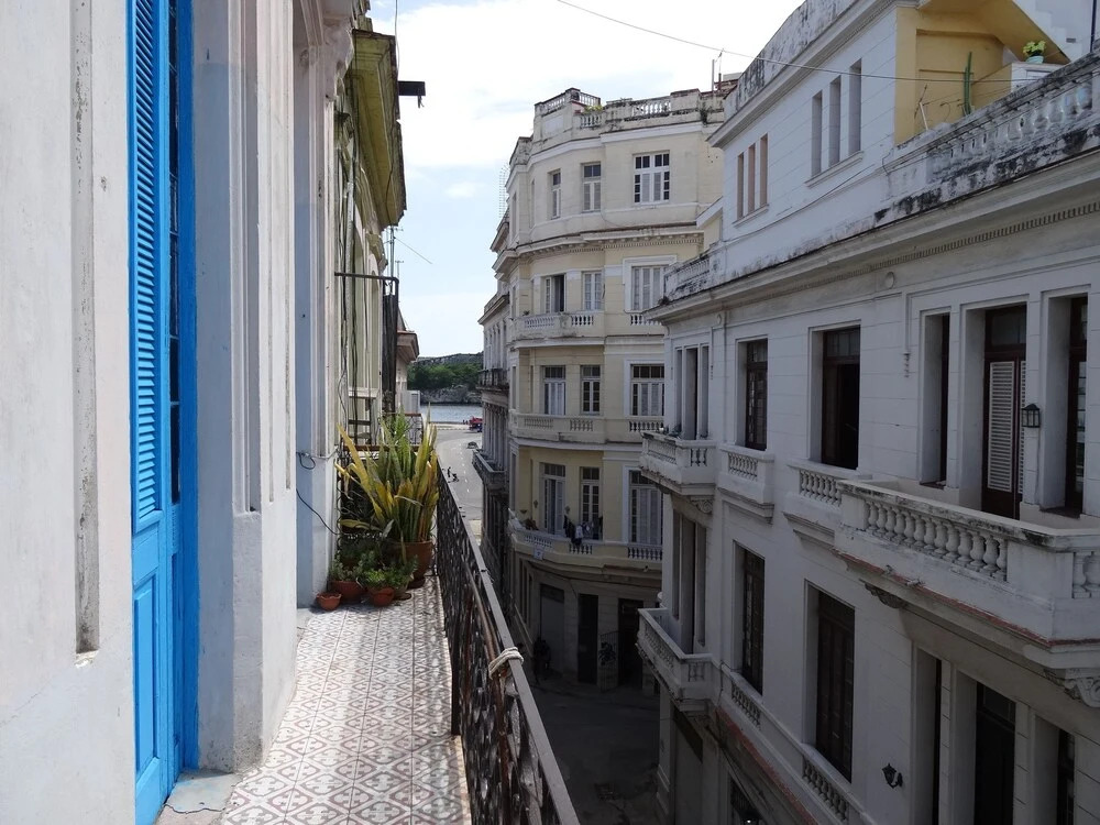 Casa Elsie