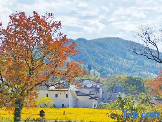 Taiping Yunzhu Characteristic Homestay