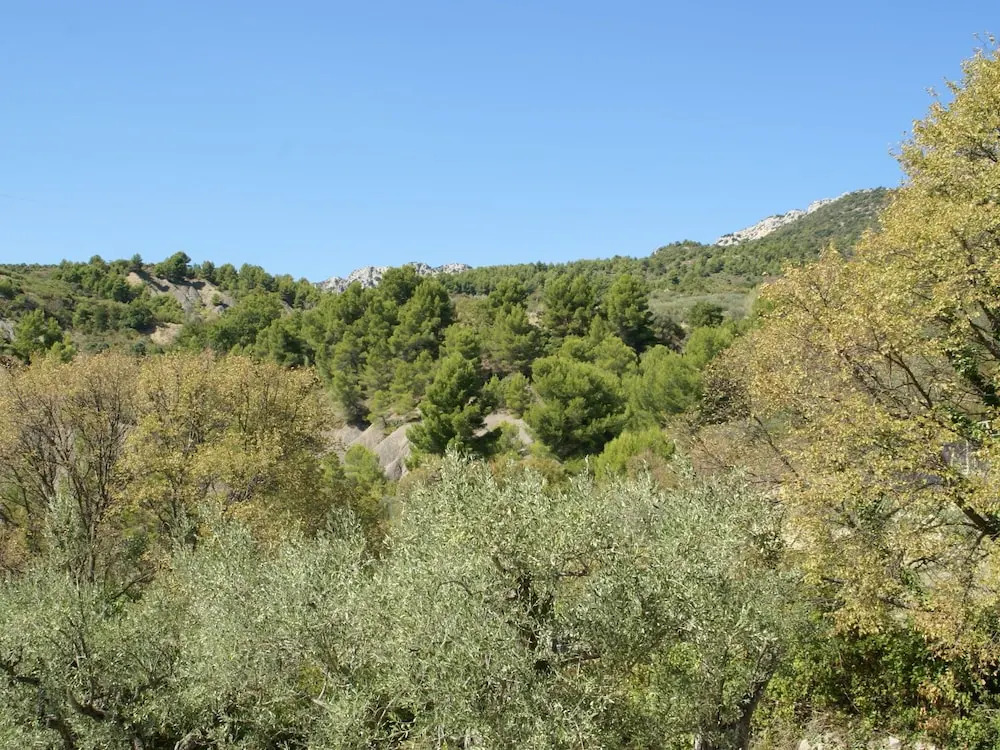 Beautiful Villa With Panoramic View, in the Hills of the Mont Ventoux