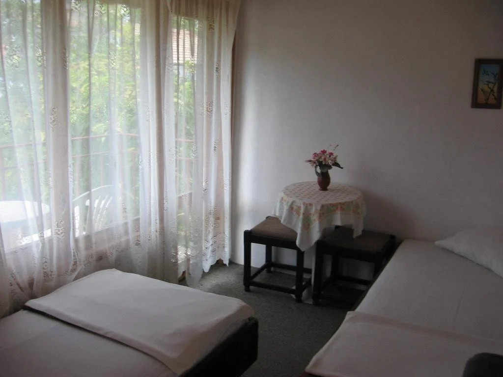 Vila Tsonevi