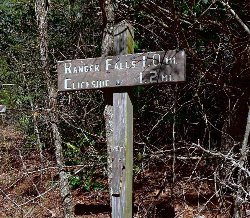 Happy Hiker