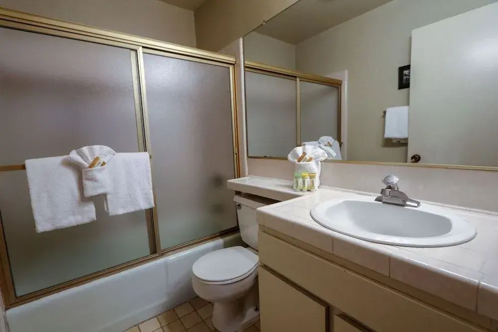 Snowbird 109 1 Bedroom 1 Bathroom Condo