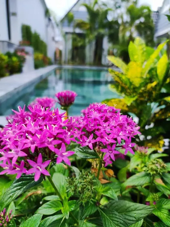 Ngoc Trai Xanh Bungalow
