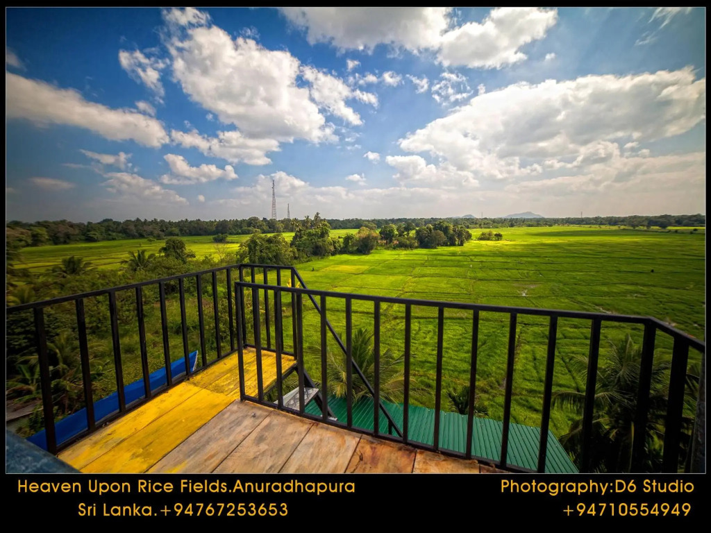 Heaven Upon Rice Fields