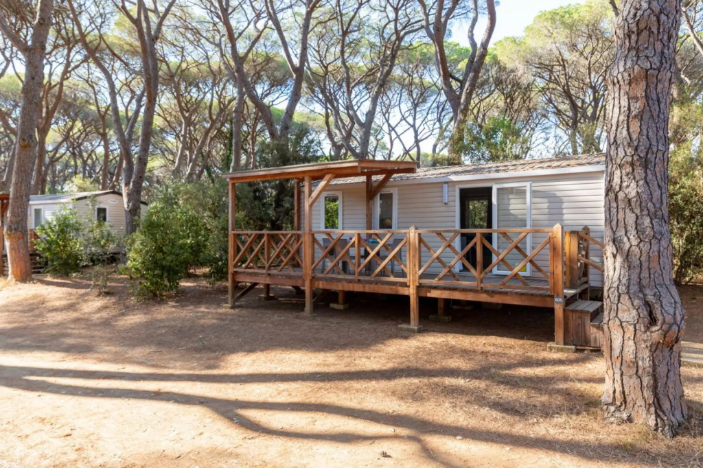 Superior Lodge in Grosseto