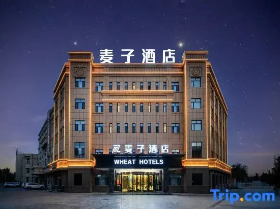 Shanshan Maizi Hotel (Kumutage Desert)