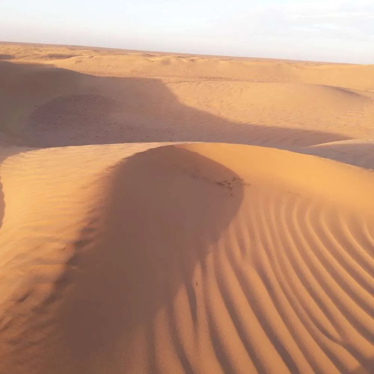 Mhamid Sahara Camp Activities - Le Chant du Sable