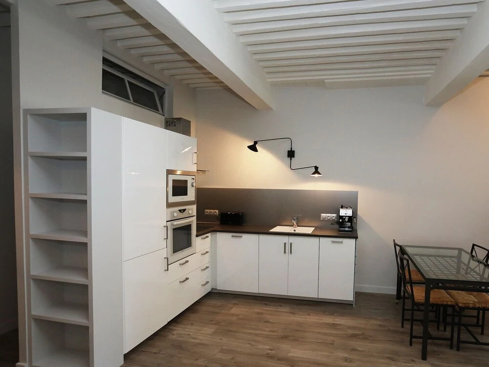 Annecy downtown 55 m2 Apart with big terrace