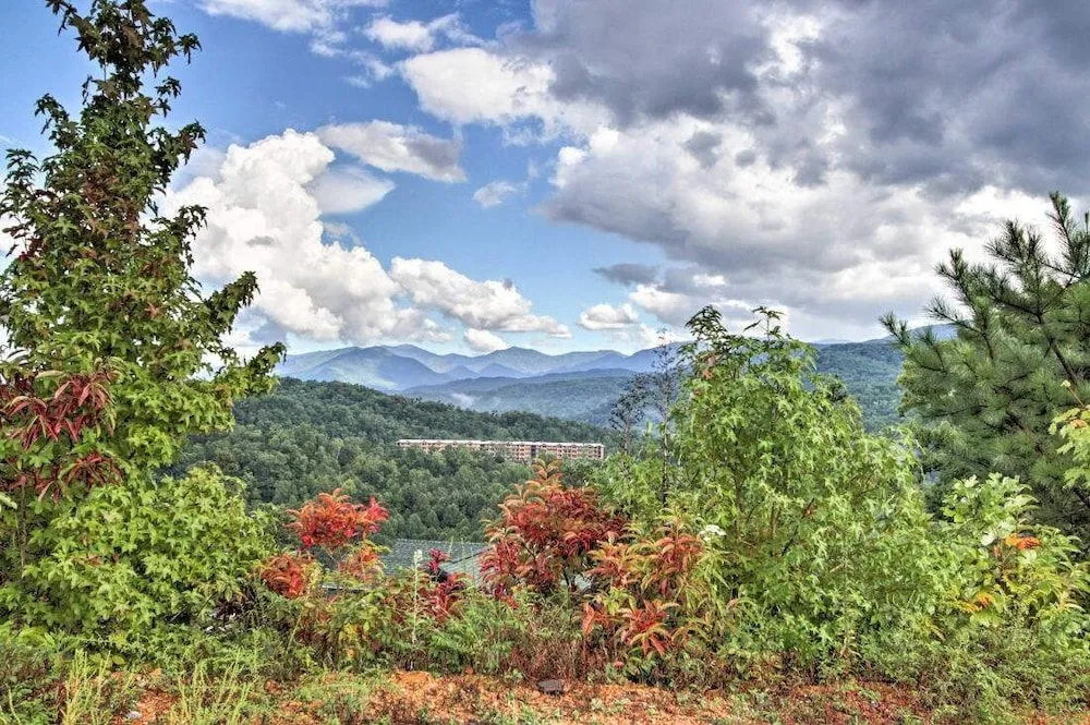 Smokies View