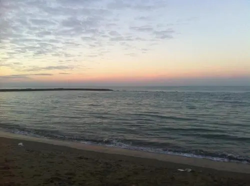 Aquila Di Mare
