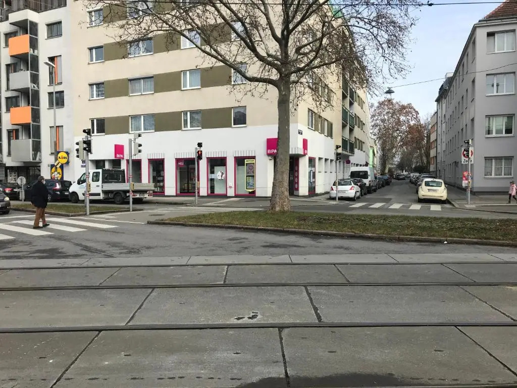 Alte Donau
