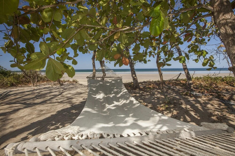 Beachfront Houses for Rent