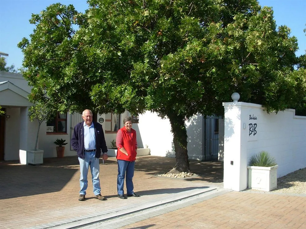 Baleia Guest Lodge