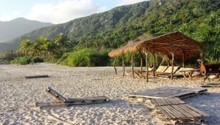 Villa Palm Breeze