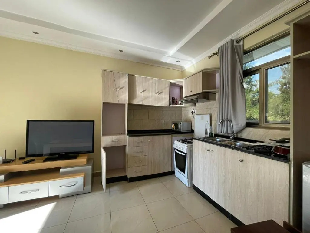Spacious 1 Bedroom Apartment, Kigali
