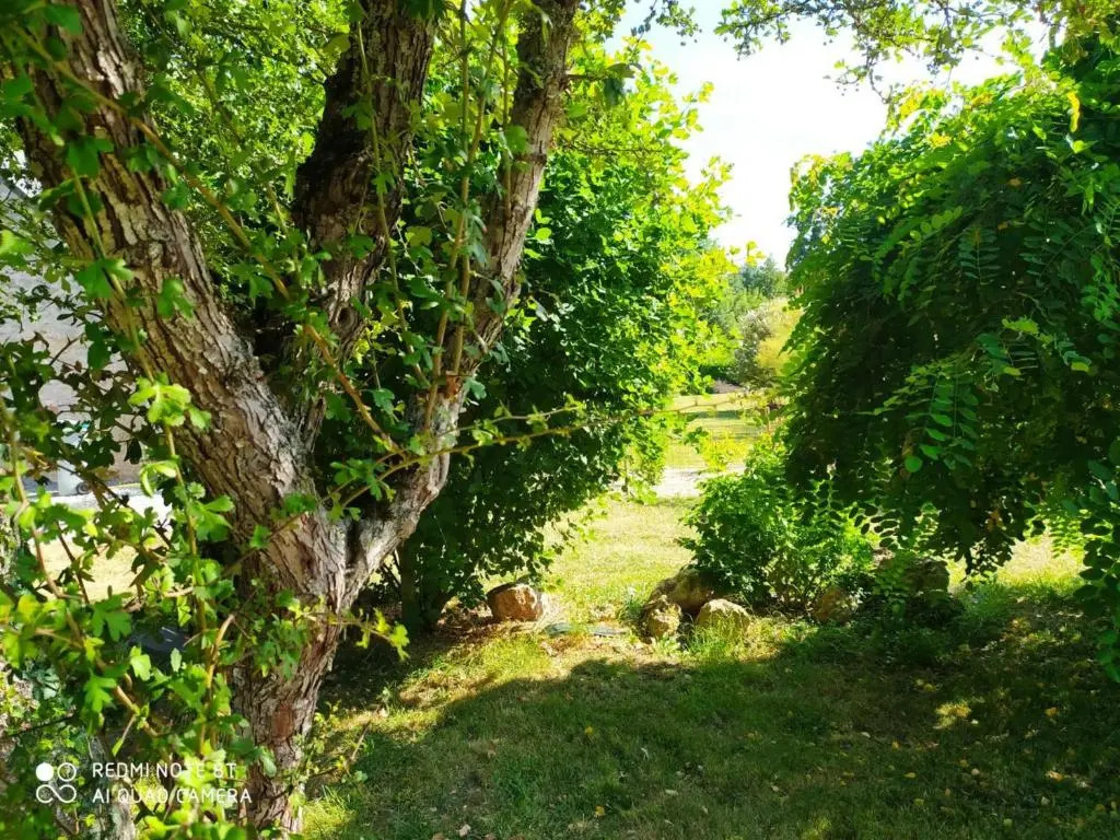 Gîte élégant en Touraine avec jardin clos et WIFI - FR-1-381-505