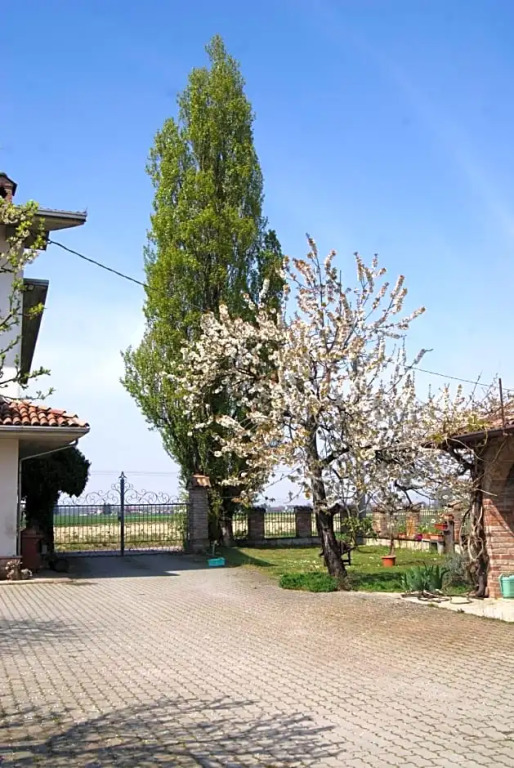 Antico Pioppo