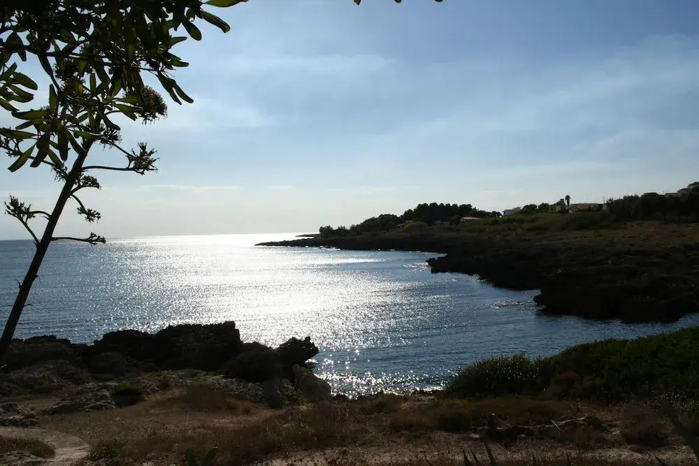 Villa Elisa B&B