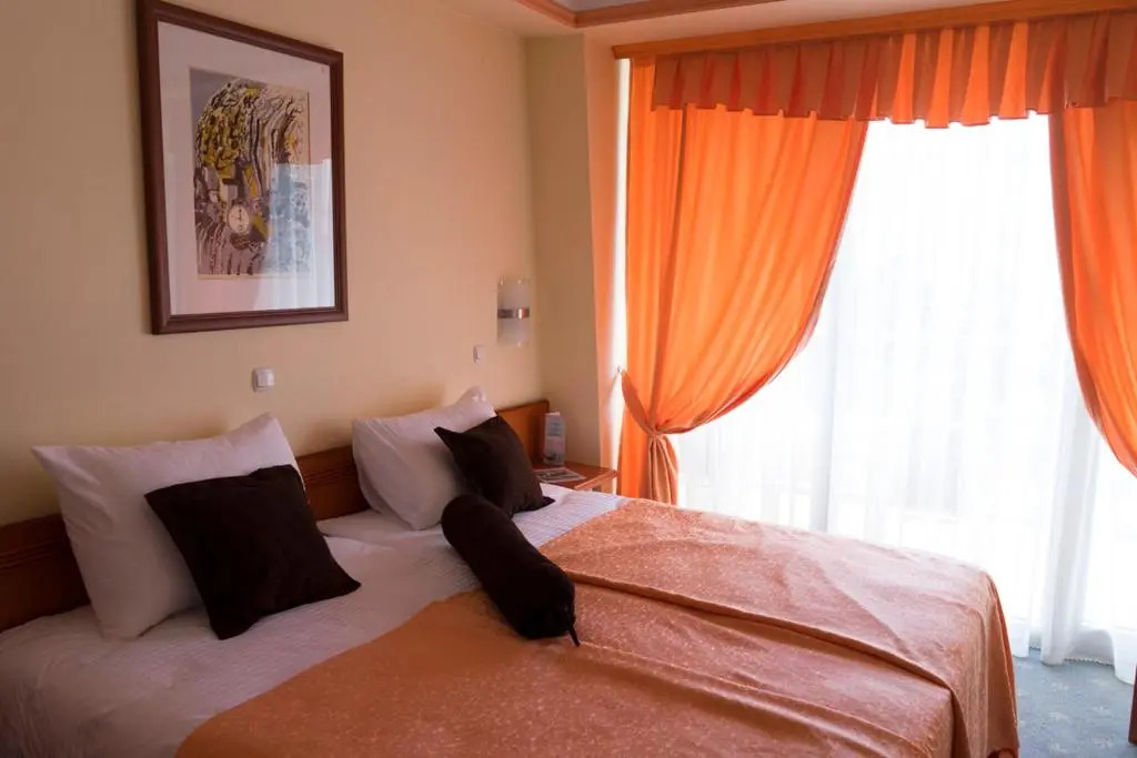 Hotel Drim & SPA