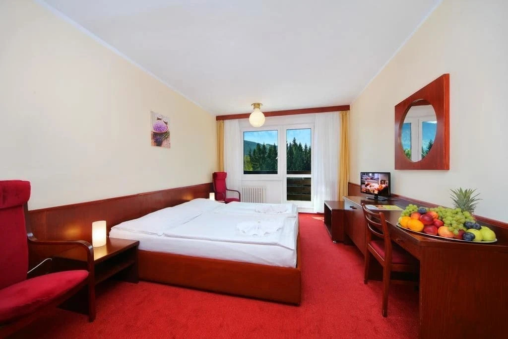 Wellness Hotel Svornost