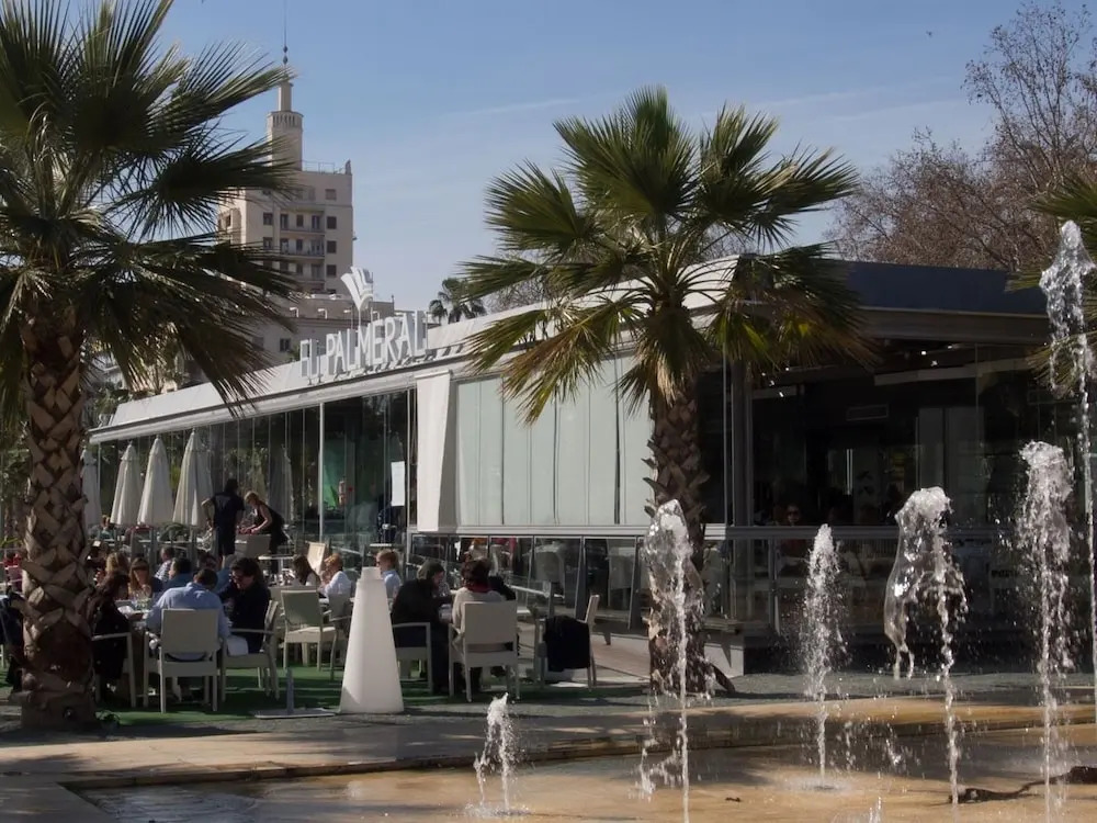 The Olive Tree
