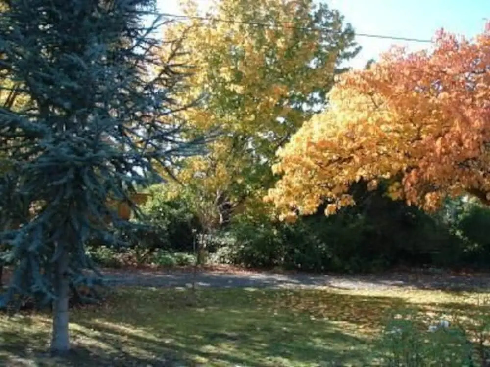 Huonville Guesthouse