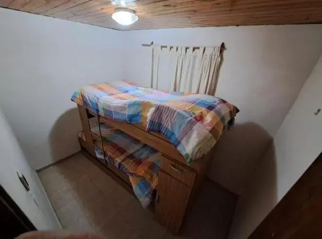 La casa del pino