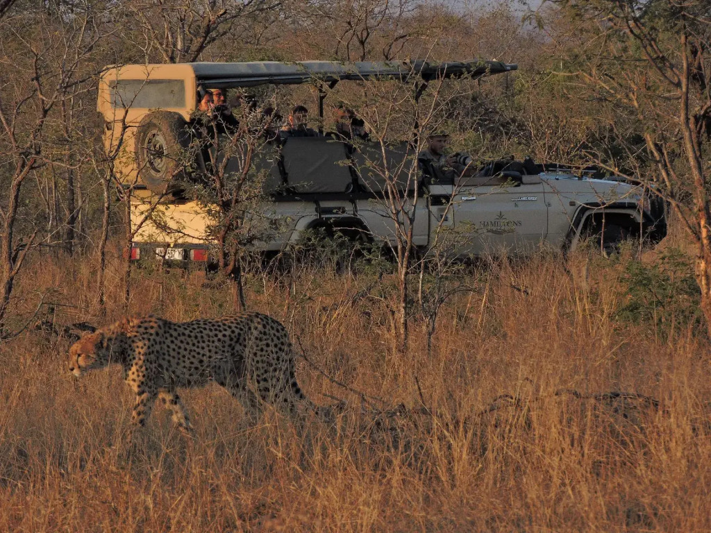 Hamiltons Tented Camp