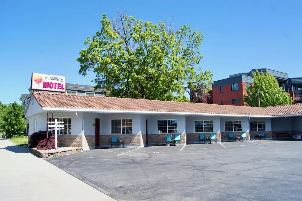 Flamingo Motel