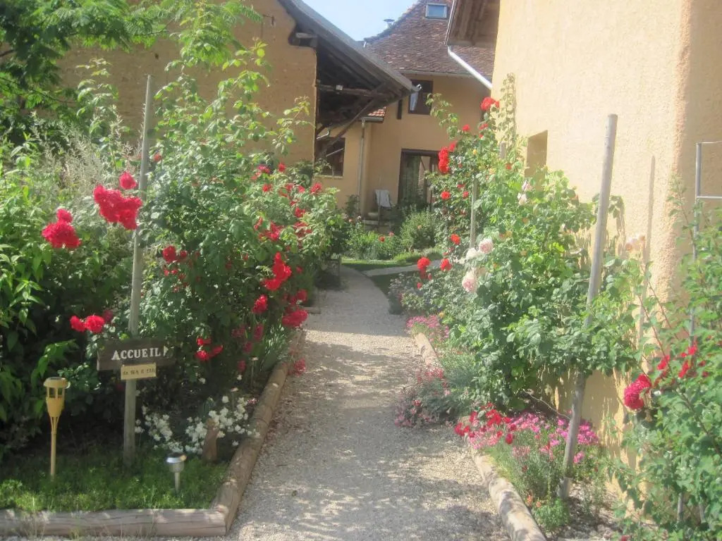 La Trancoulette