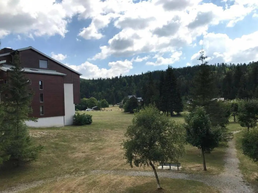 Appartement Corrençon-en-Vercors, 2 pièces, 6 personnes - FR-1-515-17