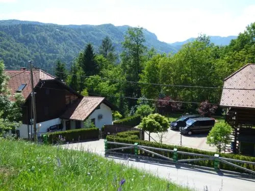 Resort pod orehi - Bled - Apartma & Glamping & Savna