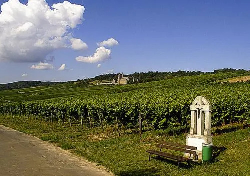 Weingut Magdalenenhof