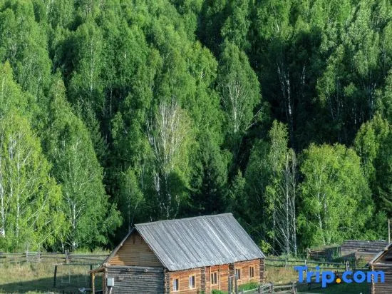 Fenghua Zhenxue Log Cabin - Fusion Aesthetics Restaurant Resort