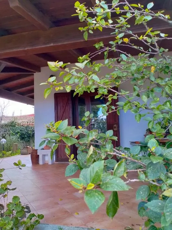 Casa Armas