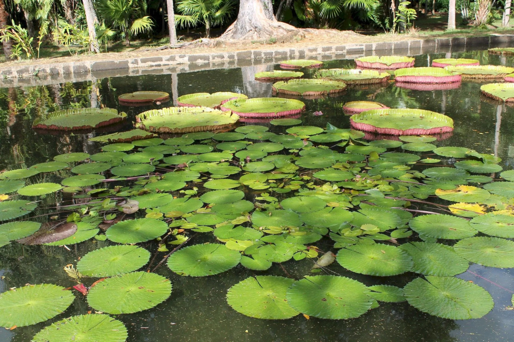 Residence Le Lotus