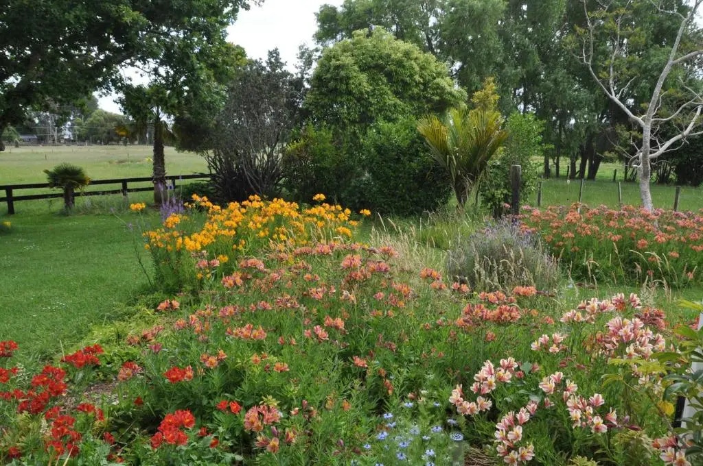 Jacaranda Lodge