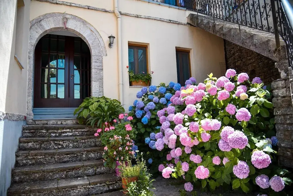 Palorto Hotel