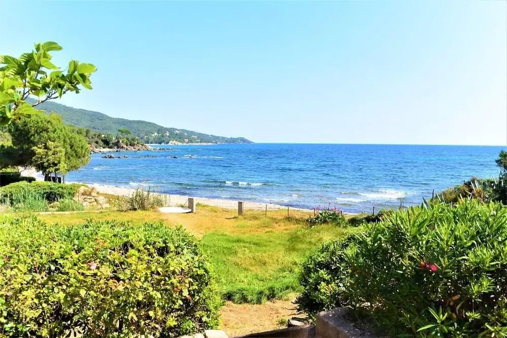 Canella 5
