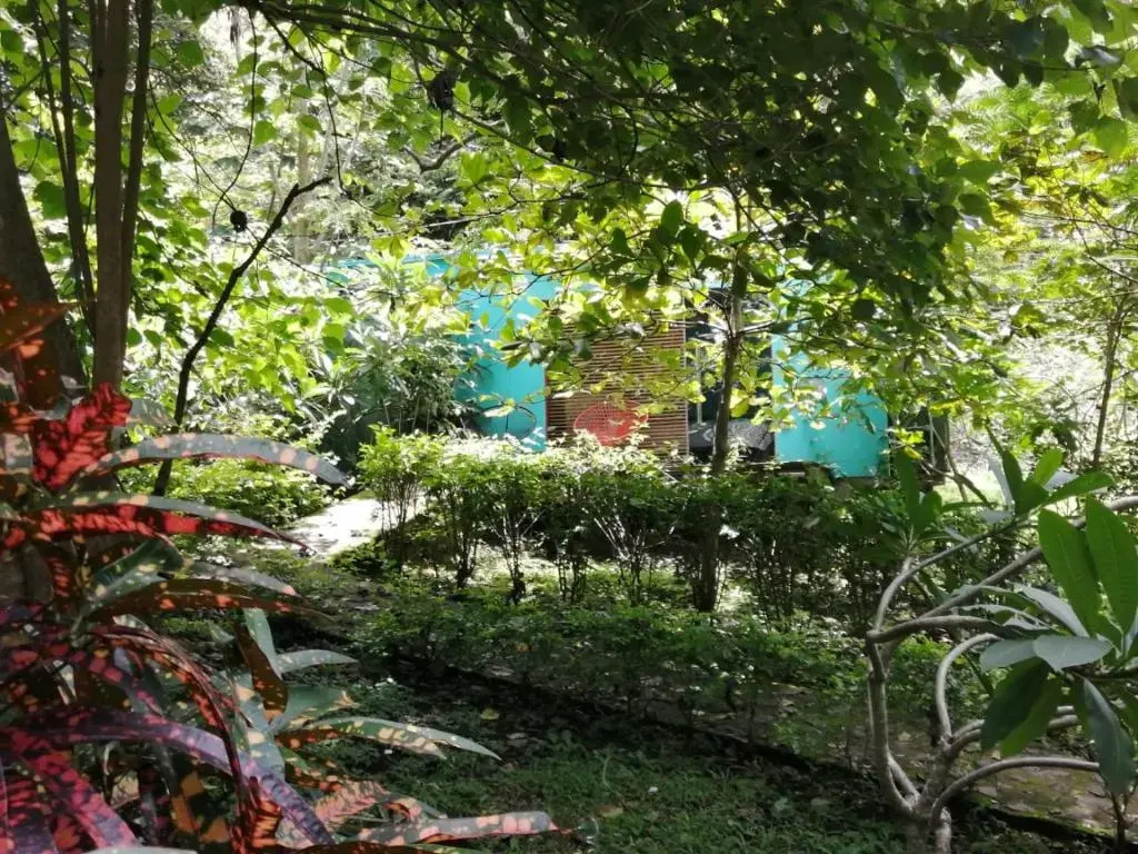 Casa Rural Aroma de Campo